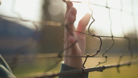 close-up hand of person in green sweater gliding over net under golden sunlight, blurred greenery background creating calm and serene atmosphere, peaceful outdoor scene