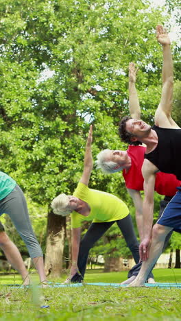 grupo de fitness haciendo yoga en el parque