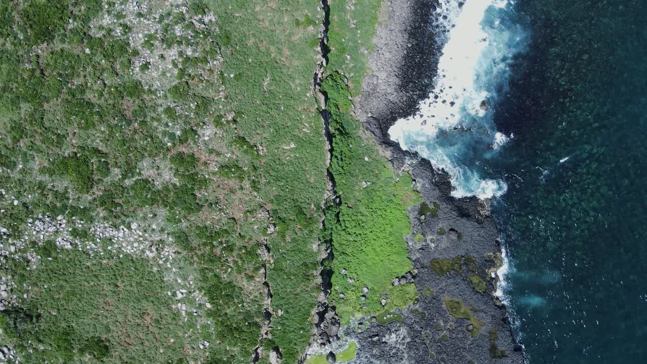 푸른 초목을 가로질러 날아다니는 새들이 있는 해안 바위 섬의 독특한 전망