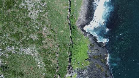 Einzigartiger-Blick-Auf-Eine-Küstenfelseninsel-Mit-Vögeln,-Die-über-Die-Grüne,-üppige-Vegetation-Fliegen