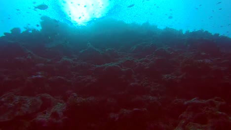 bajo el agua