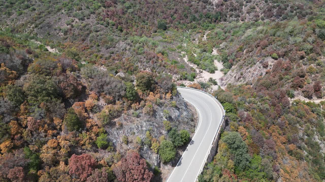 Aerial View of Winding Mountain Road Through Colorful Forest
