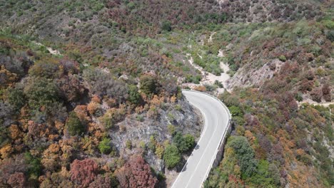 Aerial View of Winding Mountain Road Through Colorful Forest