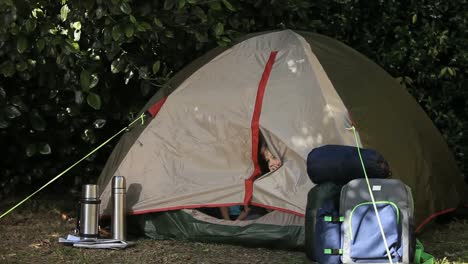 family camping in a tent