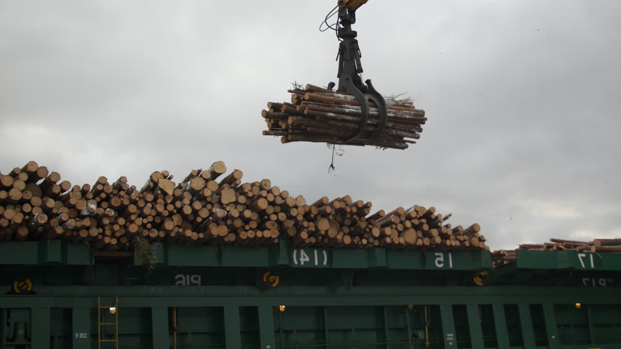 Crane loading maritime vessel to export timber on cloudy day