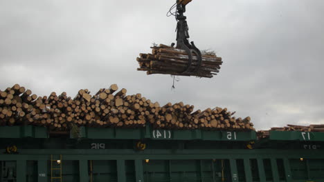 crane loading maritime vessel to export timber on cloudy day