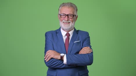handsome senior bearded businessman against green background