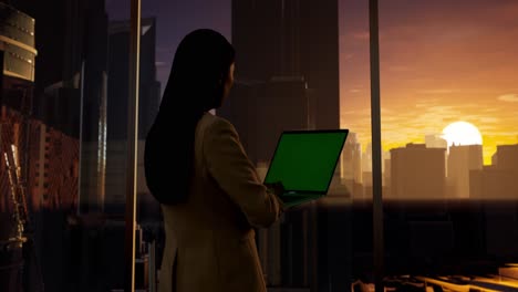 businesswoman working at sunset with city view