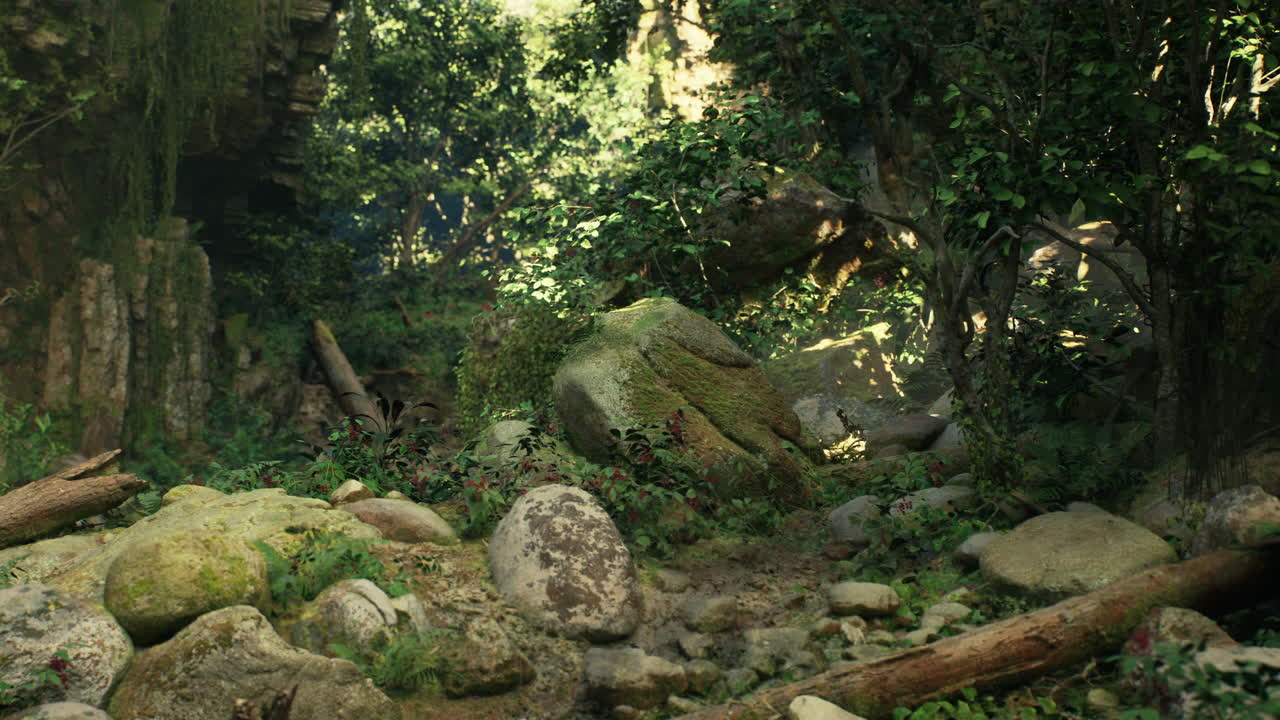 나무 들 을 통해 빛 이 아지는 울창 한 초록색 정글