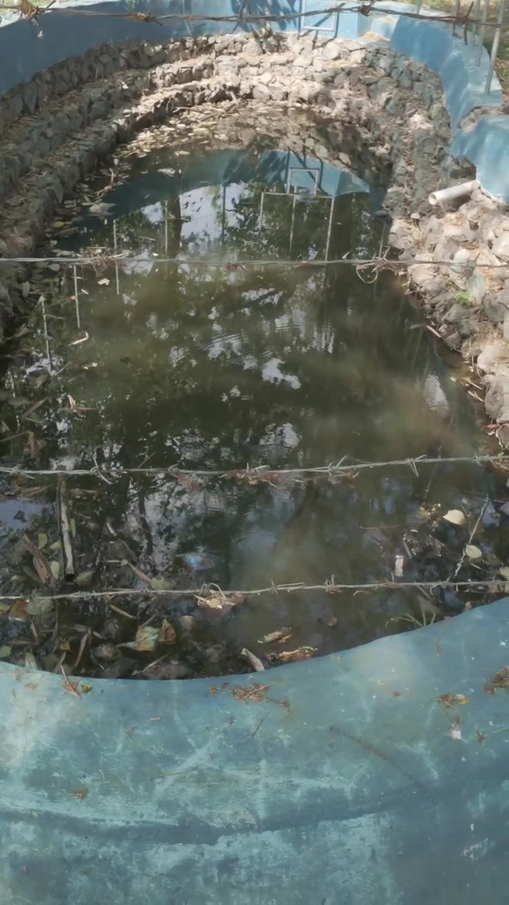Água estagnada em um pequeno lago de pedra cercado por arame farpado