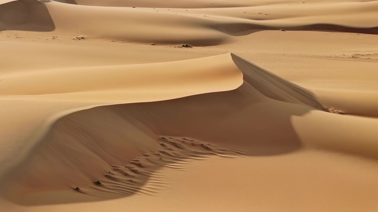Un paesaggio desertico tranquillo con ampie dune di sabbia, catturato da una prospettiva grandangolare, che mostra la bellezza calmante e serena dell'ambiente naturale con toni marroni terrosi.