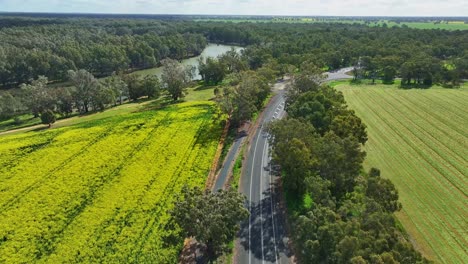 Scenic rural road with canola fields and the Murray River in the beyond