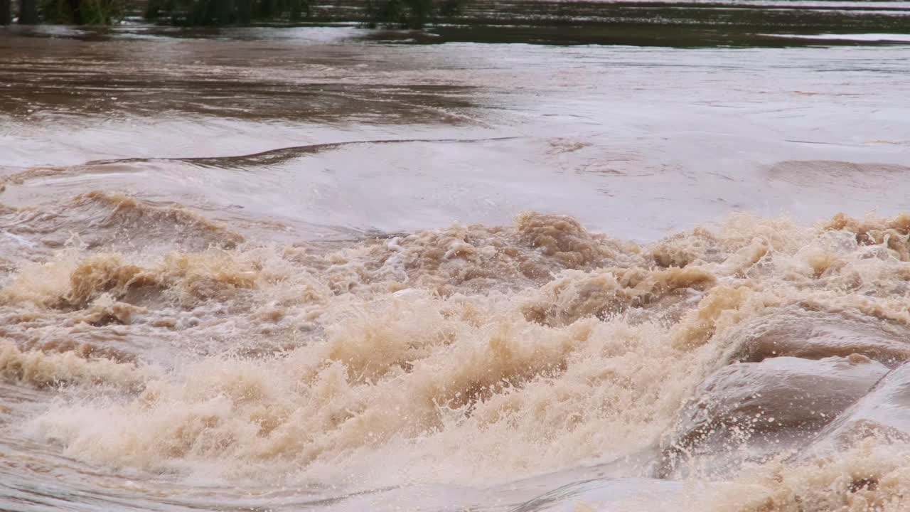 Close-up of brown floodwater rushing past green grass and trees on the Gold Coast, Queensland. Highlights the dramatic flow and intensity of the river during this natural event.