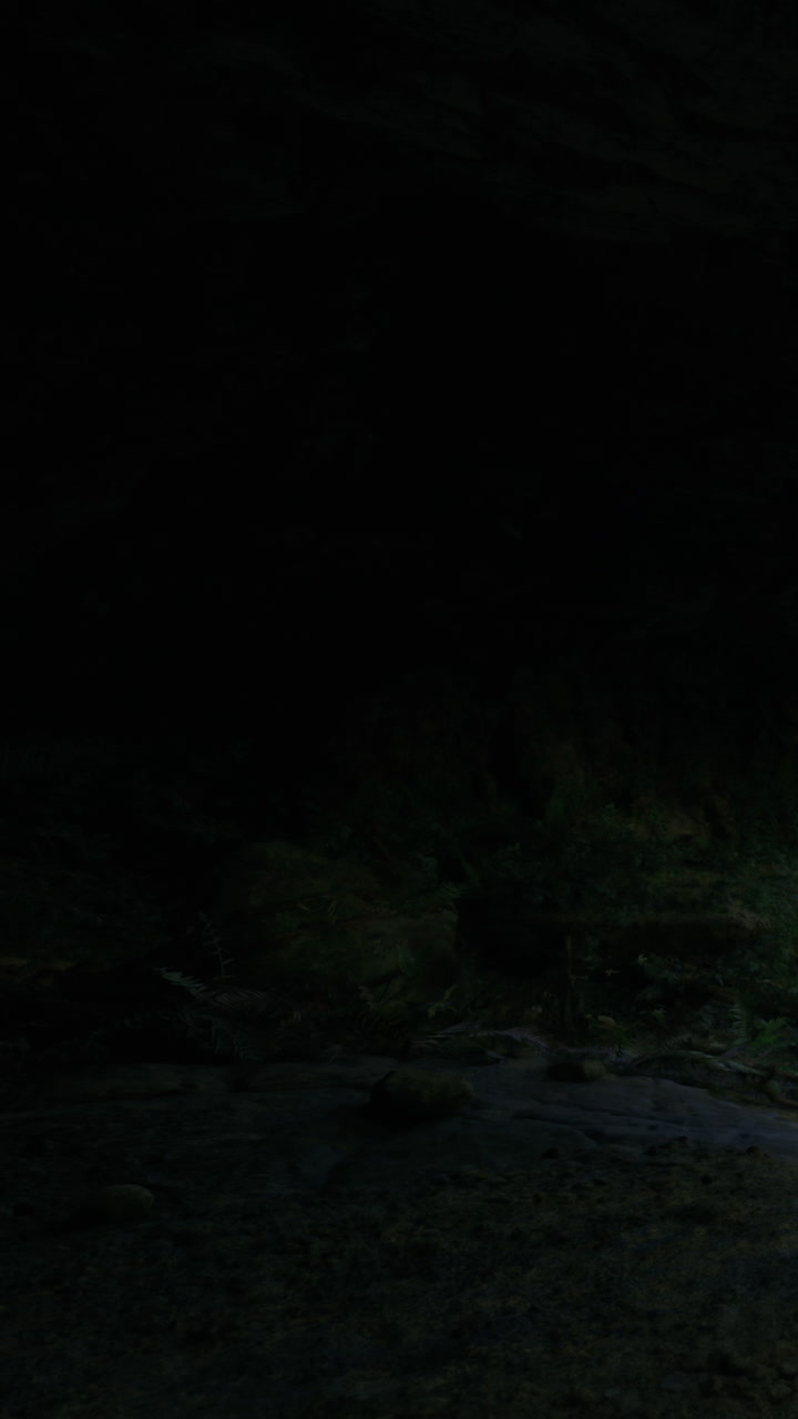 Night scene by a river with trees and shadowy areas