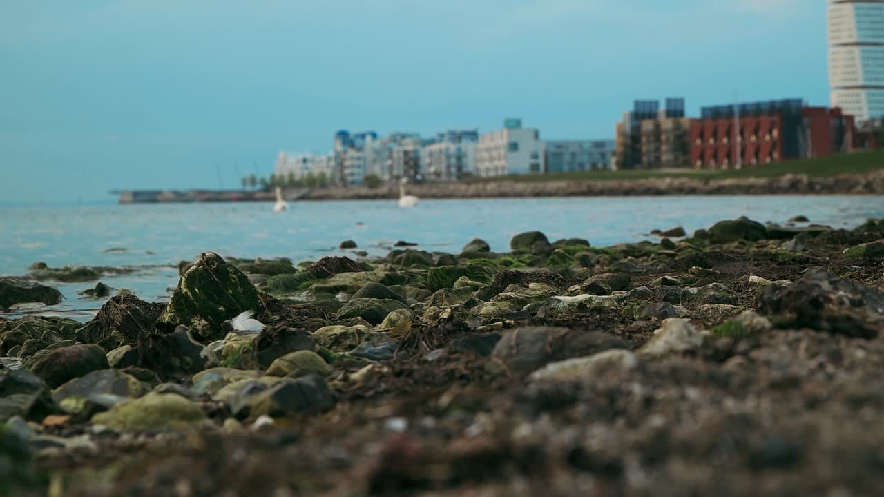 мальмо швеция вястра хамнен водный поток и здания летнее время