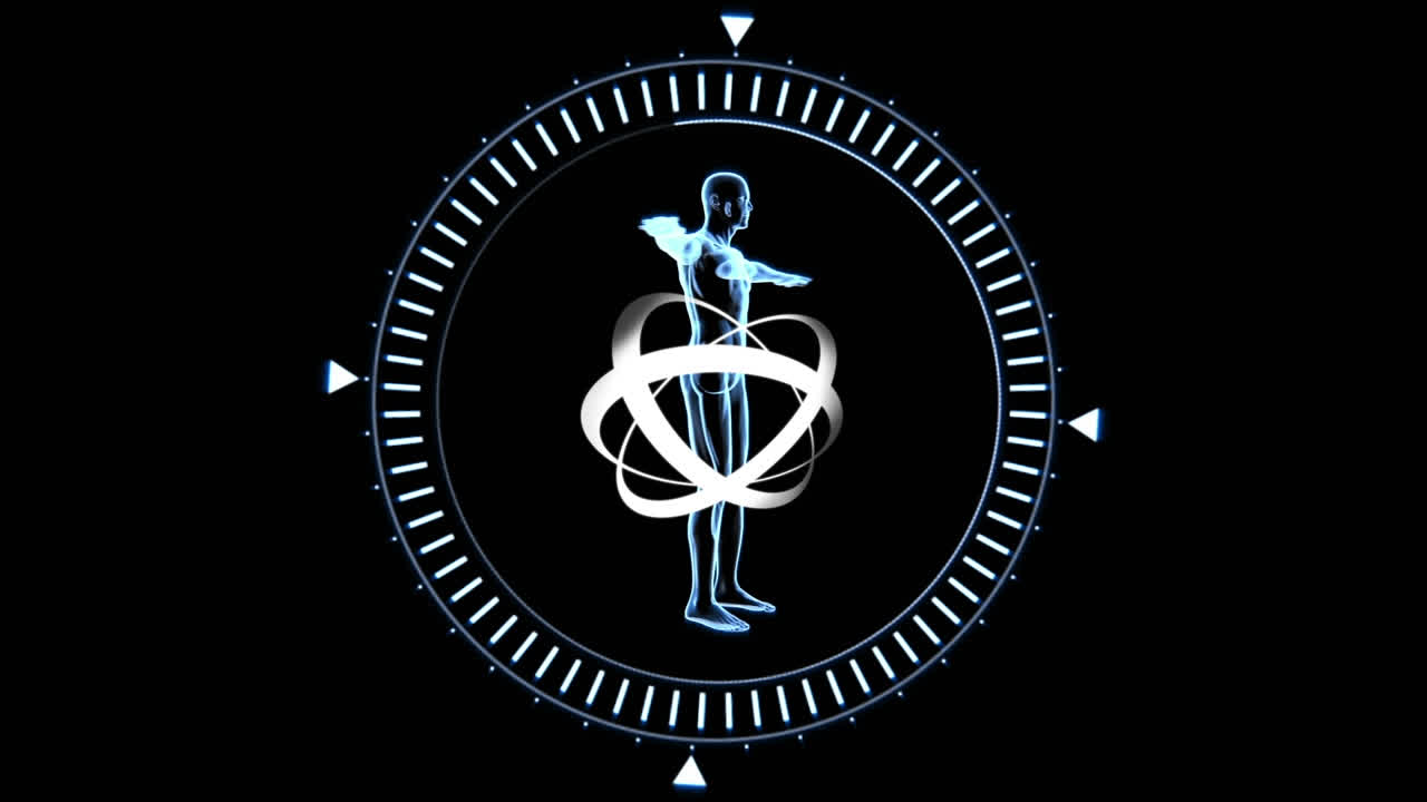 estudio del cuerpo humano