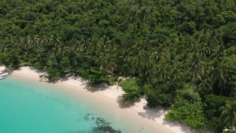la isla tropical es un paraíso de playas.