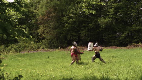 gladiators in combat