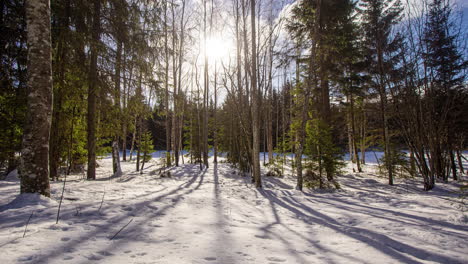 Snowy-landscape-timelapse-with-trees,-light-and-shadows-moving-over-time