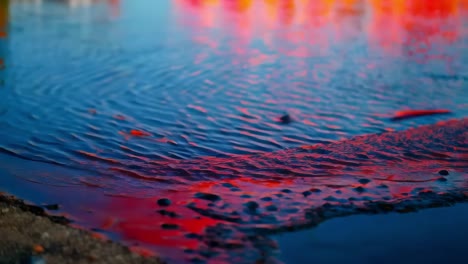 el colorido reflejo del atardecer en un charco