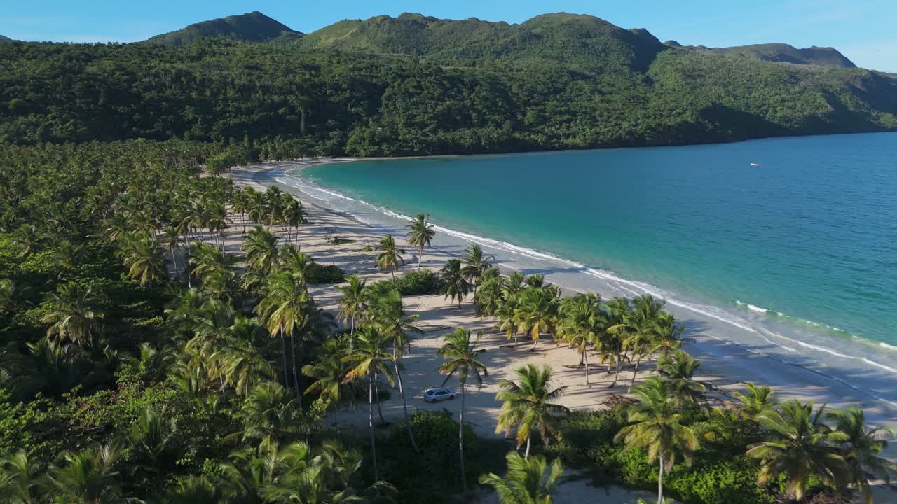 Aerial shot of Playa Rincón in Samaná, moving forward to show coconut trees along the shore, waves crashing on the beach, and the turquoise sea contrasting with the tropical vegetation.