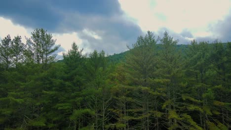 rising above the trees in the catskill mountains during summer. the catskills are a sub-range of the appalachians and located in new york's hudson valley.