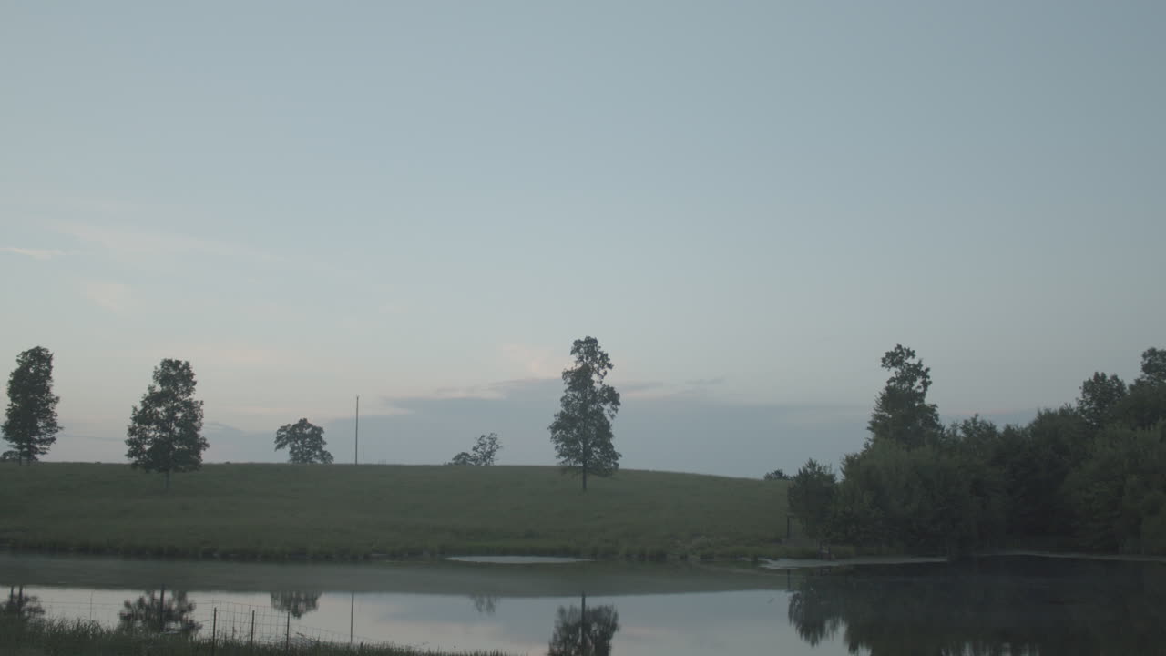 Tranquil Pond and Field at Dawn