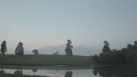 tranquil pond and field at dawn