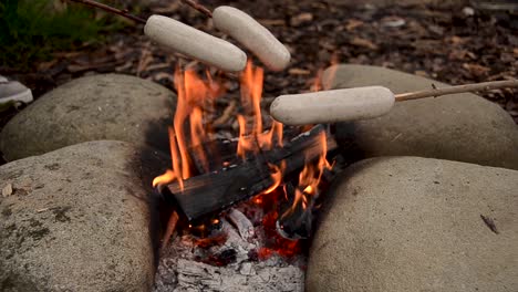 friends cooking sausages on a sticks for breakfast meal over flaming campfire outdoors