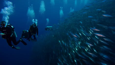scuba divers with a large school of fish underwater