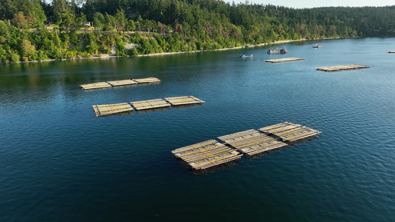 toma aérea de los muelles de la granja de mejillones en penn cove cerca de coupeville, washington