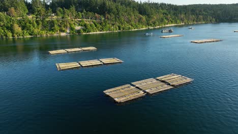 Luftaufnahme-Von-Muschelfarm-Docks-In-Penn-Cove-In-Der-Nähe-Von-Coupeville,-Washington