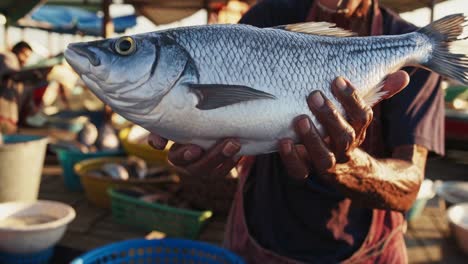fisherman holding fresh fish at market
