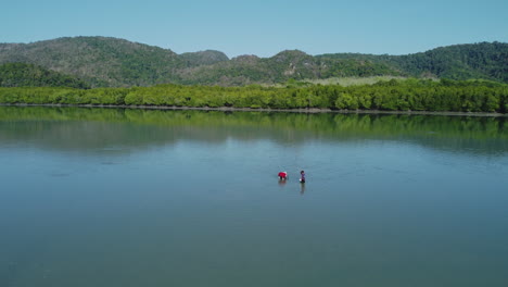 mujer y su hijo buscan almejas en las aguas de la isla de langkawi