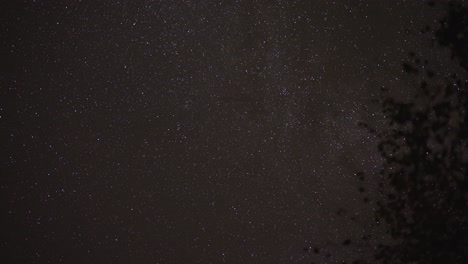 Clouds-pass-on-the-night-sky,-dark-tree-silhouette-in-the-foreground