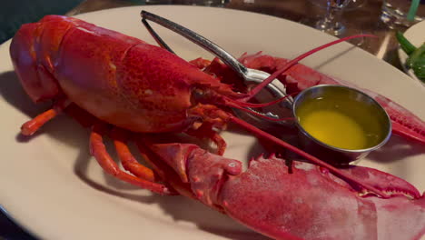 steamed red new england lobster with melted butter 60fps 4k