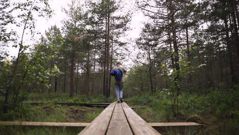 dolly shot from behind of young man with backpack walking in forest