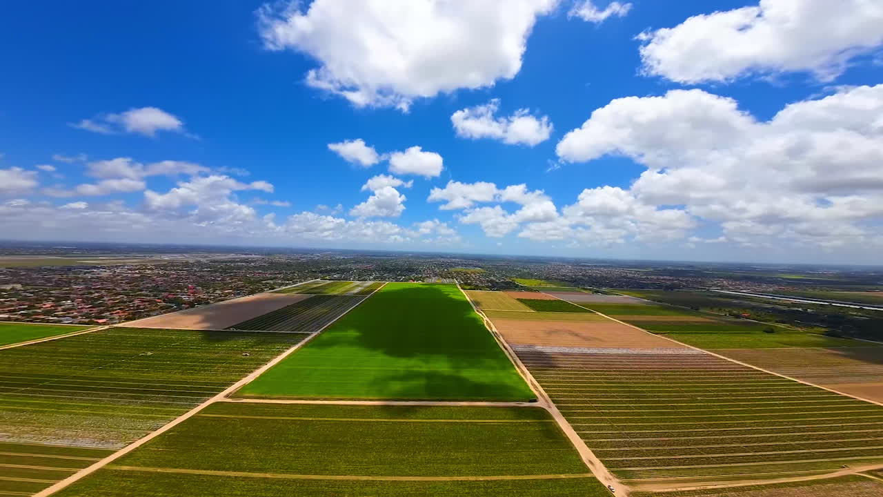 Rising up above the green farmlands with rural area at backdrop. Aerial perspective on the beautiful scenery on sunny day from FPV drone.
