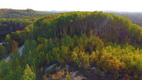 Establecimiento-De-Un-Disparo-Aéreo-De-Drones-Descendiendo-Sobre-Las-Copas-De-Los-árboles-Bruñidos-De-Un-Bosque-En-Una-Hermosa-Mañana-De-Otoño-Con-Un-Destello-De-Lente,-Canadá