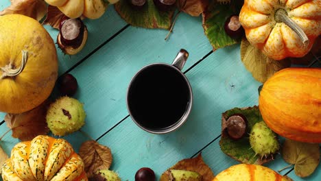 cup of coffee surrounded by pumpkins