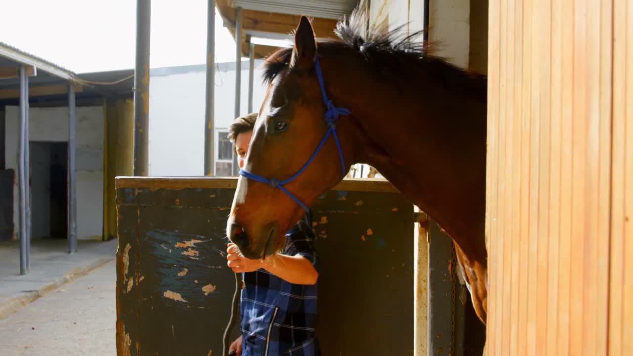 Woman walking with horse at stable 4k
