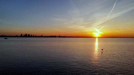 Tallin-at-sunset-with-bird-fly-above-Baltic-Sea-and-at-distance-cityscape-skyline-,-aerial-footage-of-Estonia-capital-city