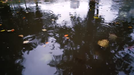 Autumn-rain-in-bad-weather,-rain-drops-on-the-surface-of-the-puddle-with-fallen-leaves.