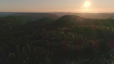 aerial shot of forest mountains in the morning