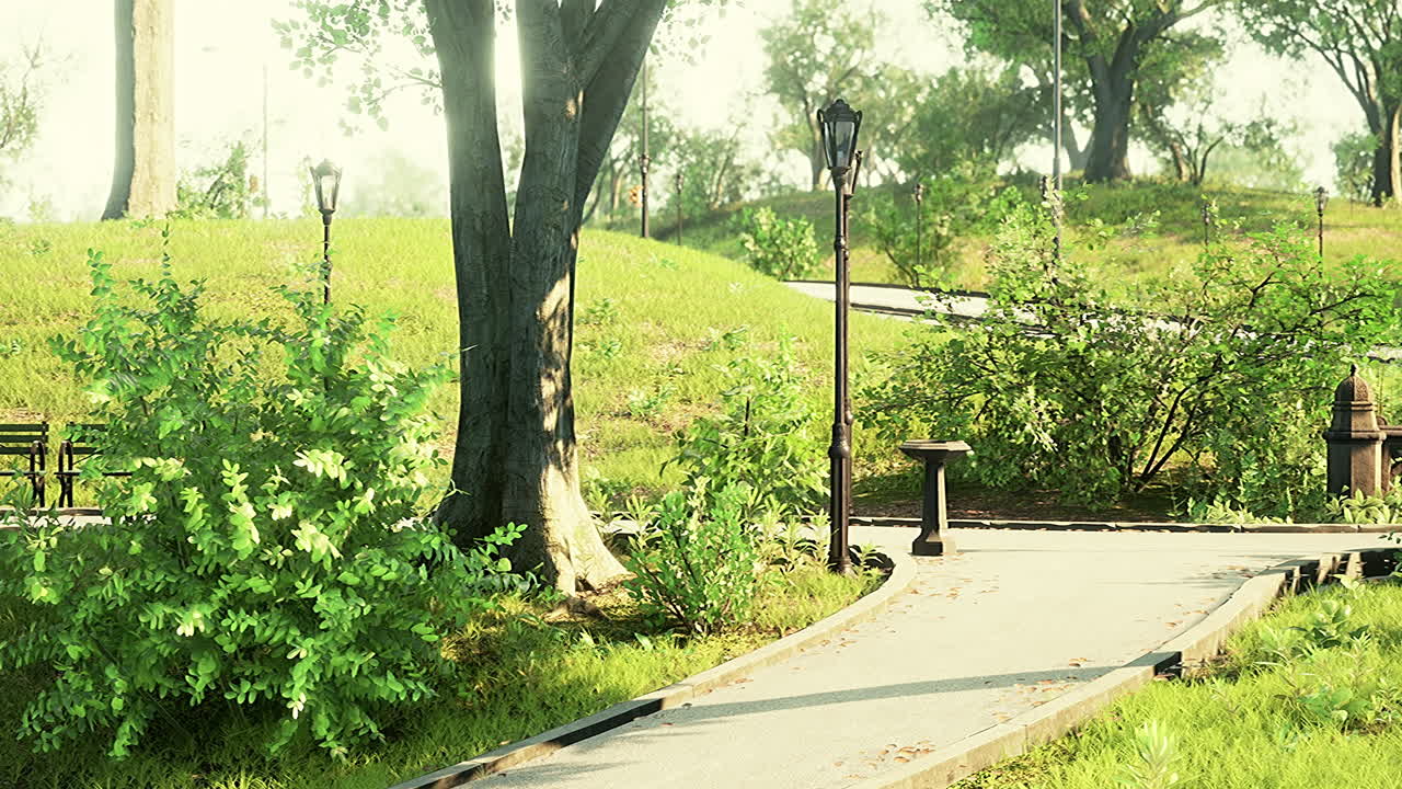 푸른 시골 에 있는 숲 공원 도로 풍경