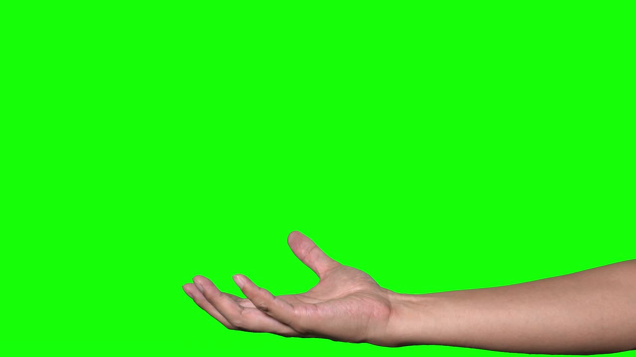초록색 배경에 있는 인간의 손.