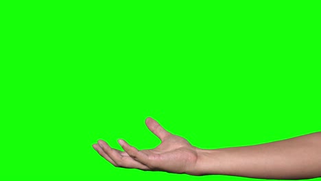 mano humana en el fondo verde.