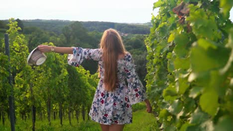 stunning hd footage of a white caucasian woman with a knitted hat, dress standing in a vineyard, observing her surroundings, then playfully taking her hat off