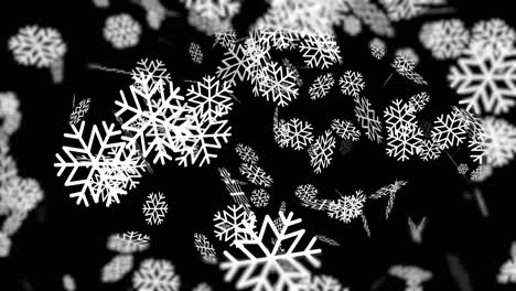 falling snowflakes on black nighttime background