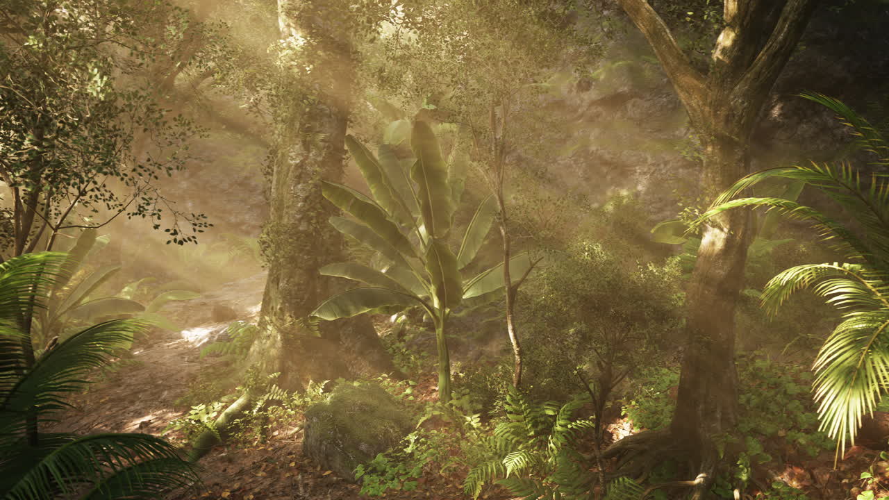 울창 한 열대 정글 의 빛